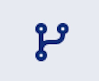 The split branch icon