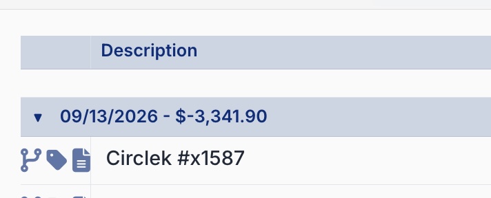 Transactions list showing a branch icon next to a transaction, alongside the tag and notes icons
